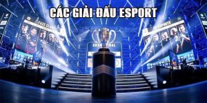 Các giải đấu esport