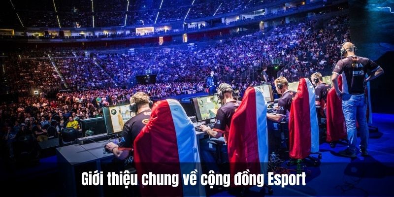 Giới thiệu chung về cộng đồng Esport