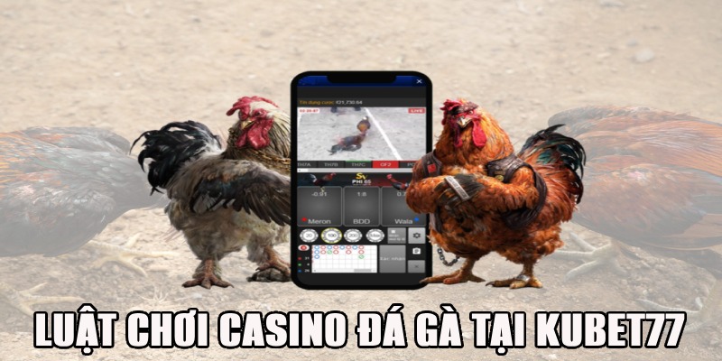 Luật chơi đá gà chi tiết trên casino Kubet77