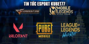 tin tức esport