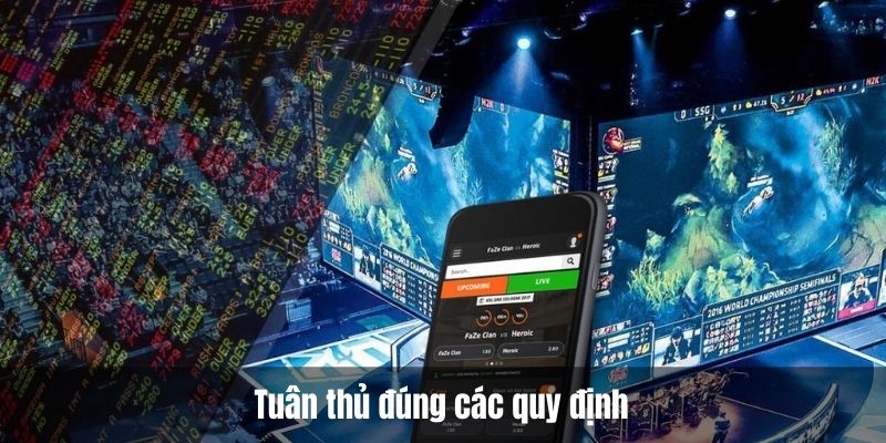 Tuân thủ đúng các quy định khi cược Esport tại KUBET77